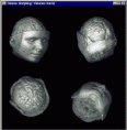 /album/fotogaleria/volumenes-gif/